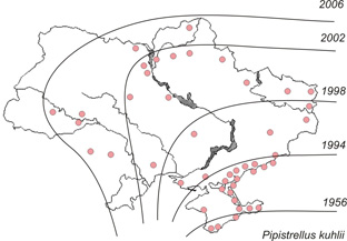 invasion of Pipistrellus kuhlii - map  by Igor Zagorodniuk